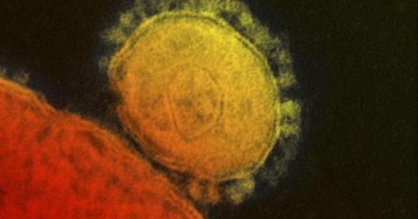 First Mers virus case of 2018 detected in UAE