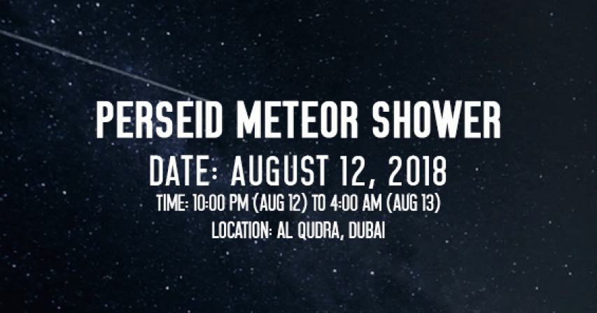 Perseid Meteor Shower