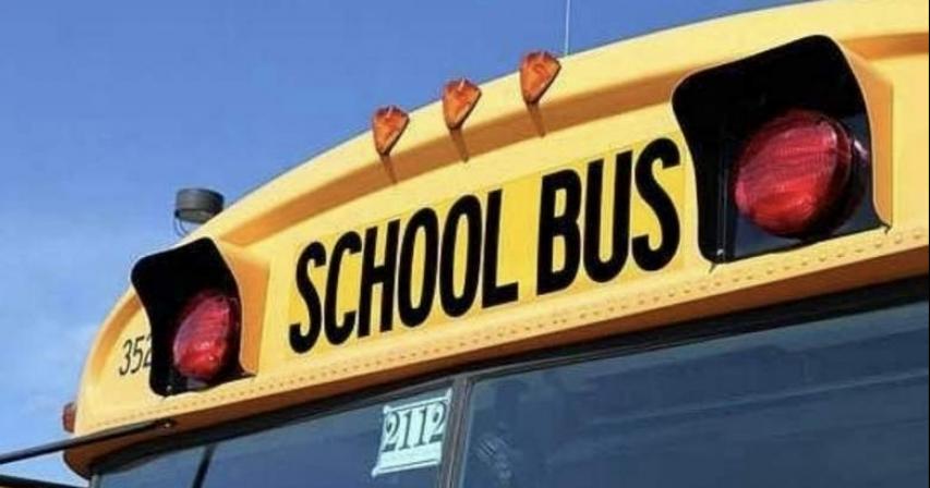 Sharjah Ruler issues new school transport system rules