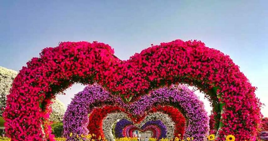 Dubai Miracle Garden: A blooming marvel