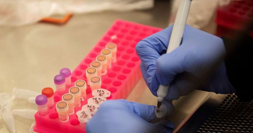 COVID-19: 300 new coronavirus cases reported in UAE on Wednesday