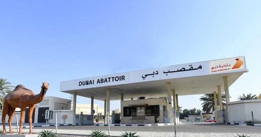 Ramadan during COVID-19: Dubai abattoirs offer more apps to buy slaughtered animals