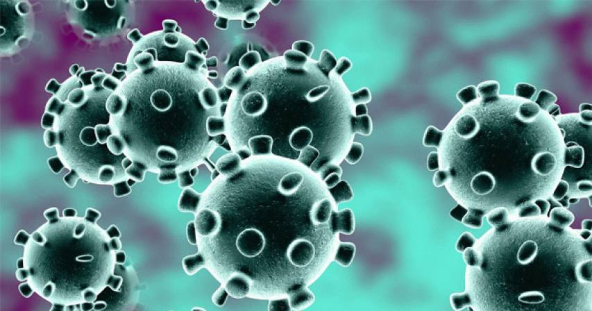 UAE reports 781 new coronavirus cases, one death