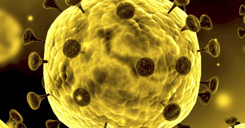 COVID-19: UAE reports 2 deaths, 473 new coronavirus cases
