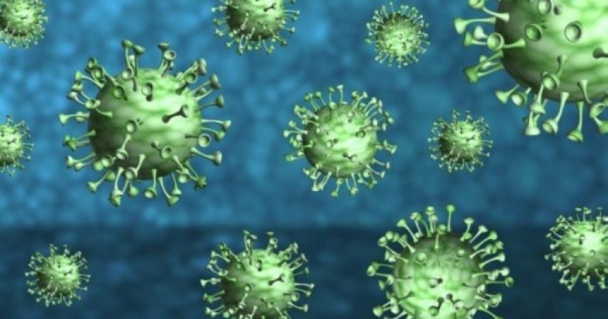 COVID-19: UAE reports 1 death, 1,002 new coronavirus cases
