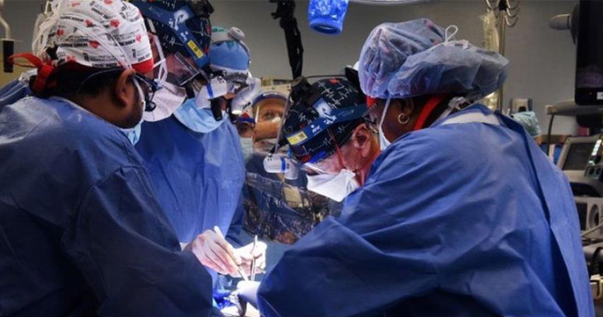 Man gets genetically-modified pig heart in world-first transplant