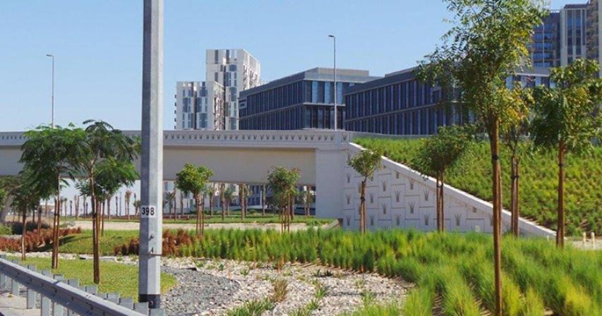 This Is TREEmendous! Dubai Plants Over 170,000 More Trees Across The City This Is TREEmendous! Dubai Plants Over 170,000 More Trees Across The City