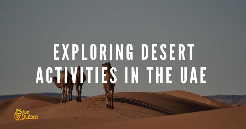 Exploring Desert Activities in the UAE