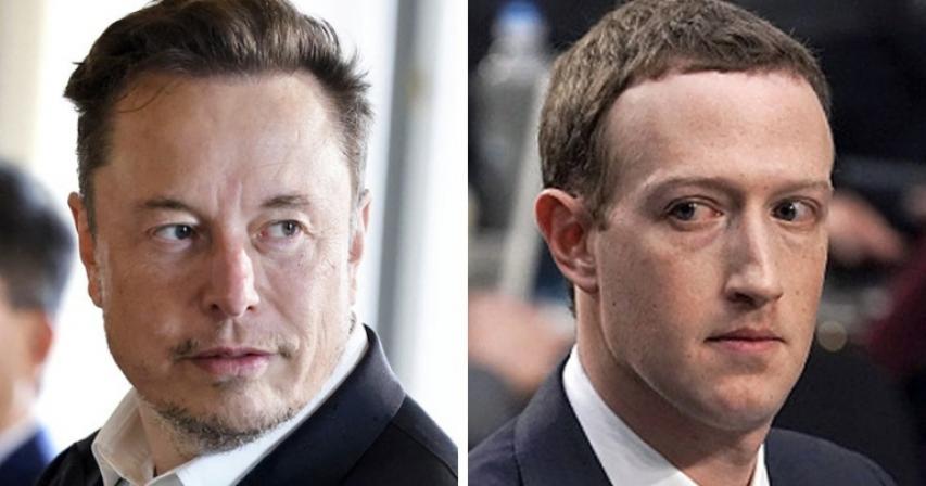 Elon Musk and Mark Zuckerberg agree to hold cage Fight