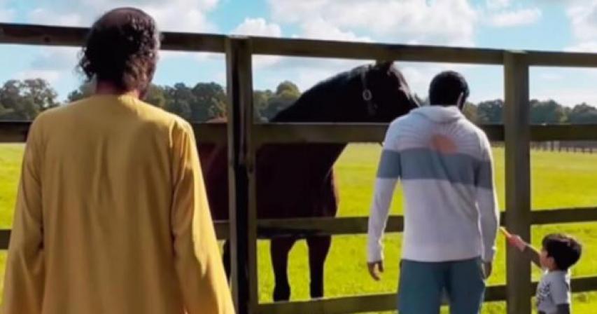 Sheikh Hamdan bin Mohammed, the Crown Prince of Dubai, shared a heartwarming video on social media showing his son, Rashid, meeting a horse named Dubawi