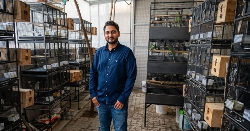 UAE Resident's Remarkable Journey as an Exotic Bird Breeder