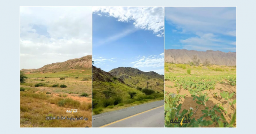 UAE rainfall transforms landscapes