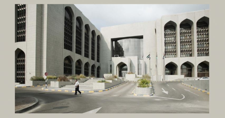  UAE financial resilience