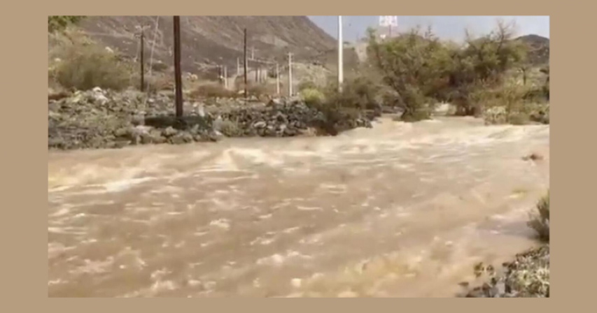 UAE citizen dies after being swept away by flooded wadi amid heavy rains