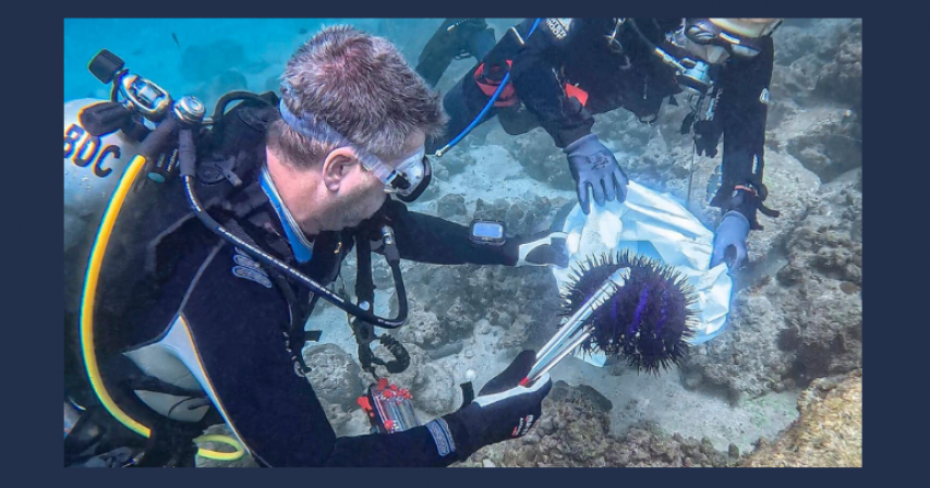 UAE divers