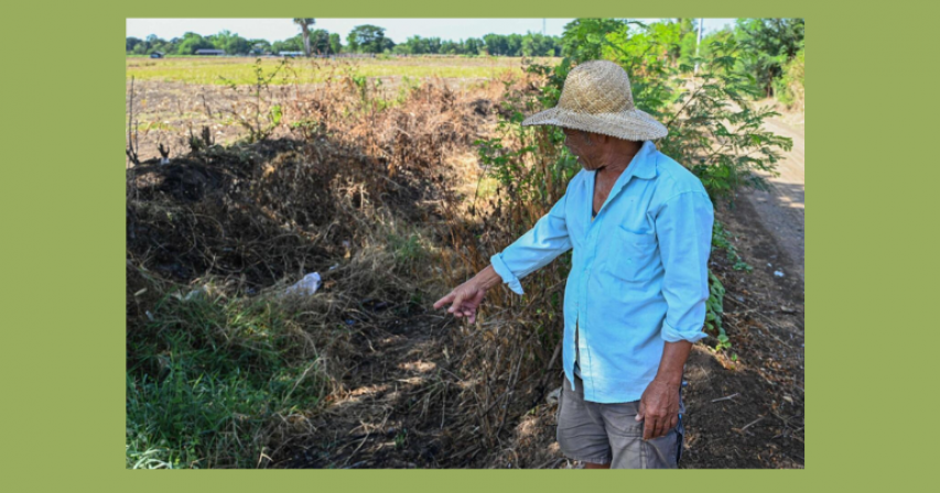 Filipino farmers