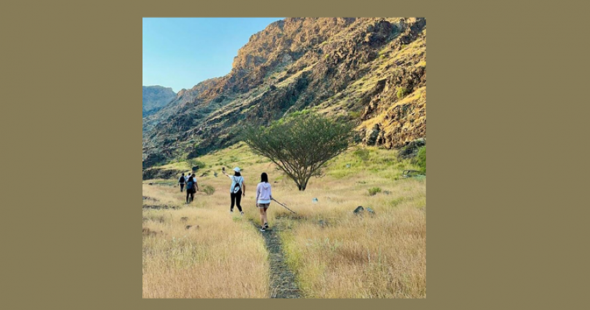 UAE desert transformation