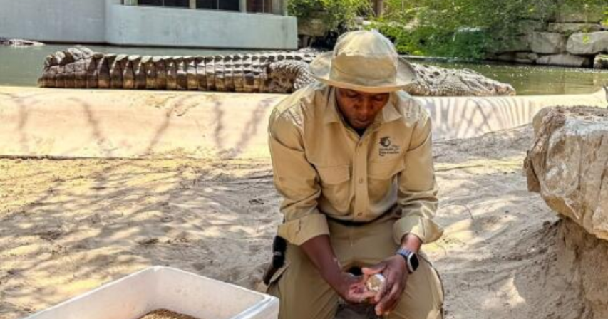 Dubai Crocodile Park