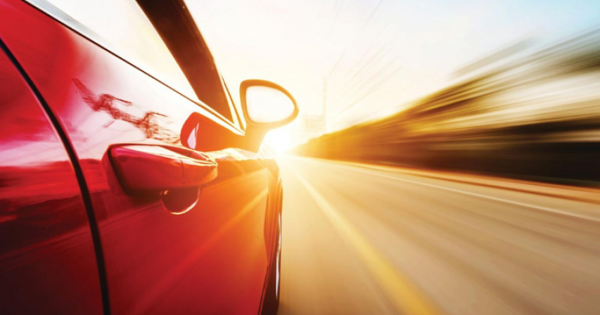  International Driving License