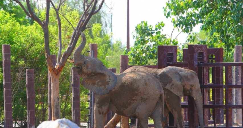 Dubai family attraction