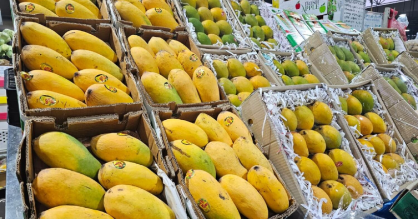 UAE mango