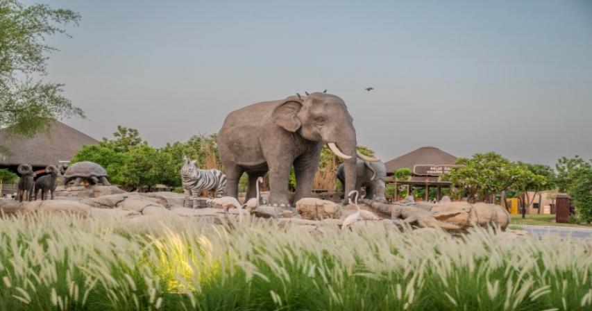 dubai-safari-extends-park-timings-for-night-safaris-for-a-limited-period

