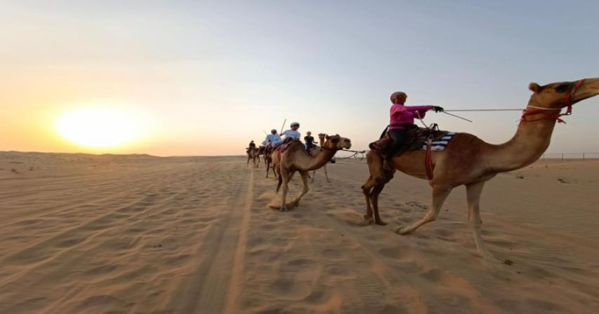 uae-camel-trekkers-680km-journey-global-village-uae adventure-camel-trek-cultural-journey