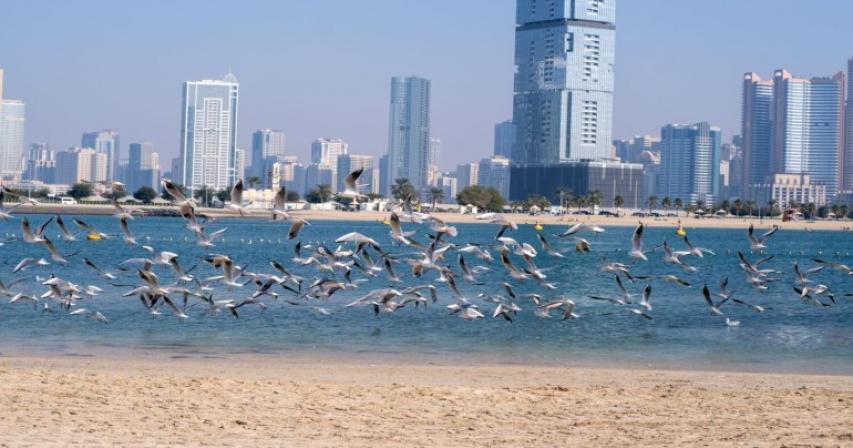 women-beach-cycling-track-what-dubai-new-al-mamzar-corniche-beach-will-feature
