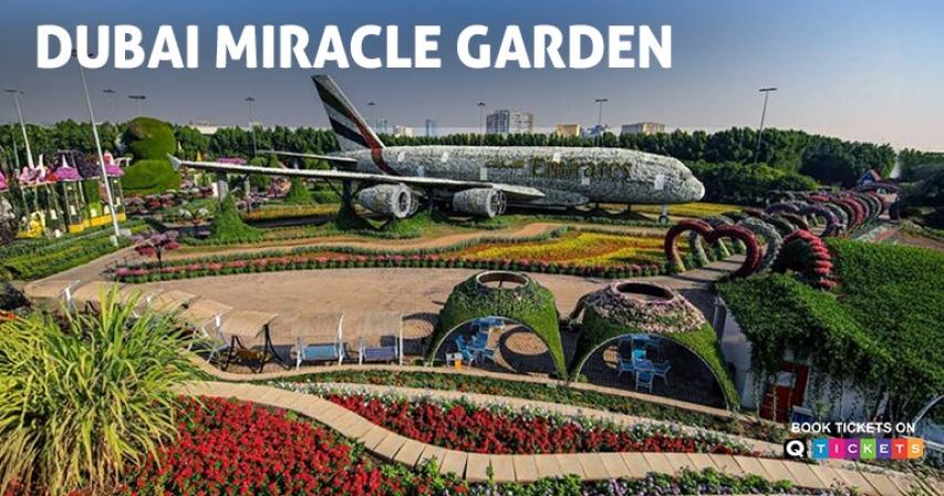 discover-the-beauty-of-dubai-miracle-garden-a-floral-wonderland
