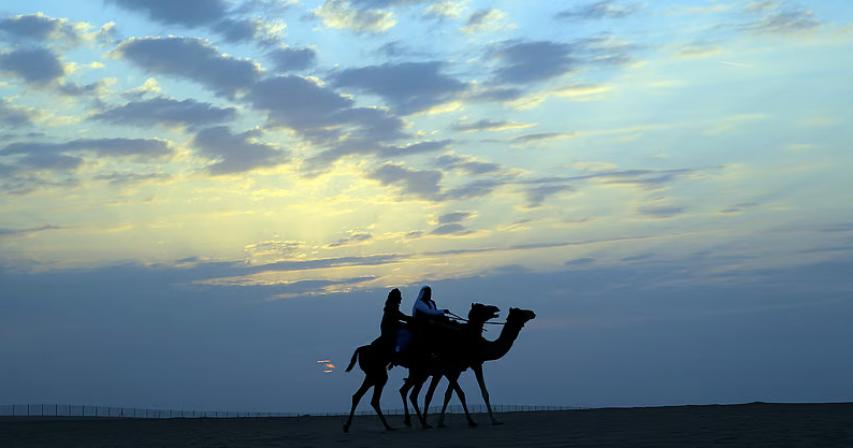 Spring arrives in UAE on March 11; longer days and rising temperatures ahead