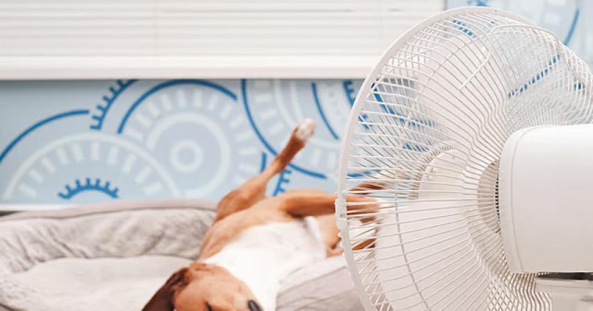 5 best fans to keep you cool in UAE summer, 2025