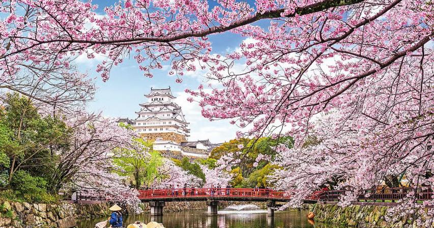 UAE citizens in Japan can extend visa-free stay to 90 days from July 1