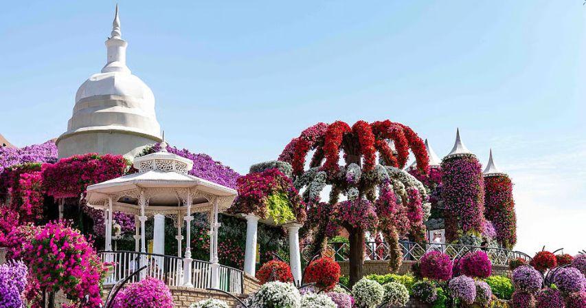 Dubai Miracle Garden announces opening date for Season 14