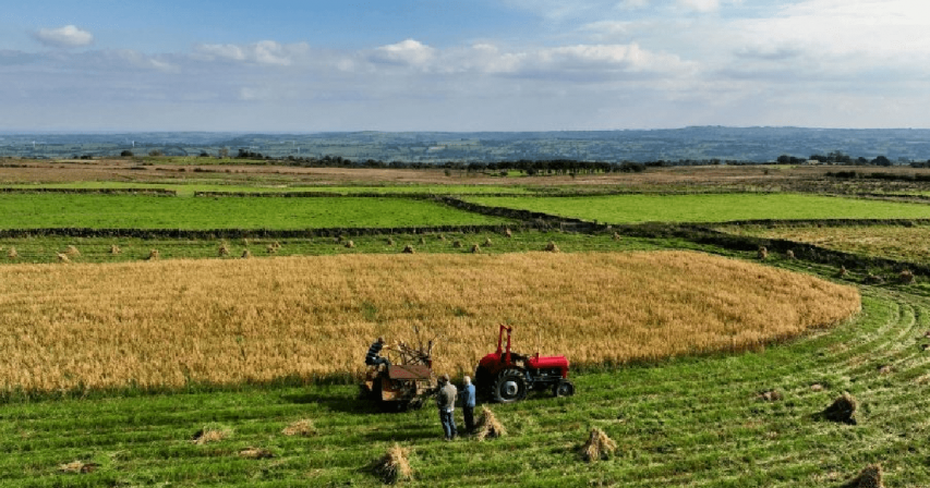 Standardizing Metrics