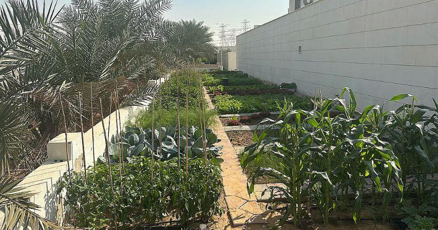 A Garden That Brings Community Together