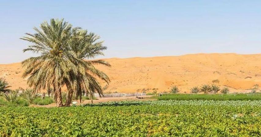 UAE farm stay rental prices nearly double ahead of Eid Al Fitr holidays