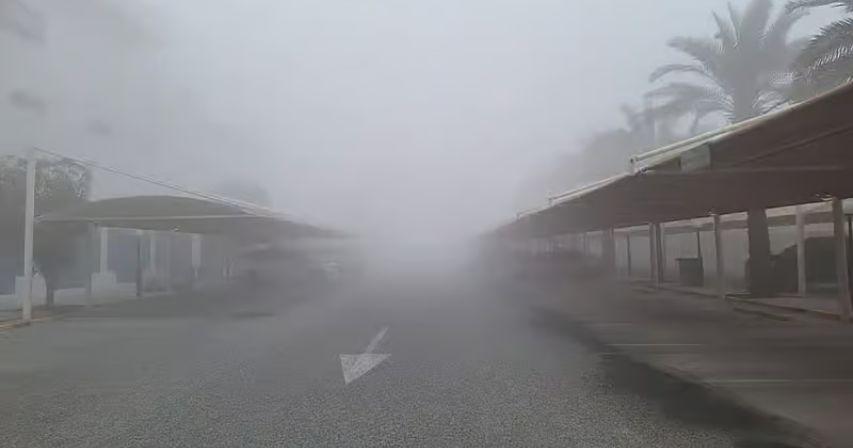 UAE weather: Chances of fog in some areas; high of 25ºC in Dubai