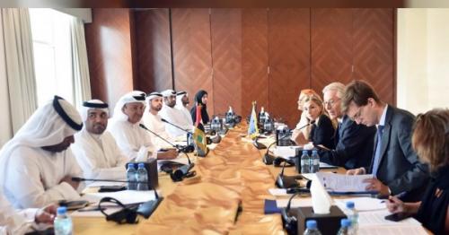 UAE Human Rights Working Group-European Union holds meeting