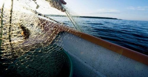 UAE, Iran coast guards tackle fishing issues