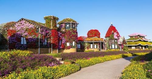 Dubai Miracle Garden