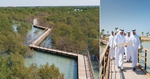 A beautiful mangrove walk is opening in Abu Dhabi in January 2020