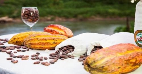 Peru has big plans for its acclaimed superfoods range in the UAE