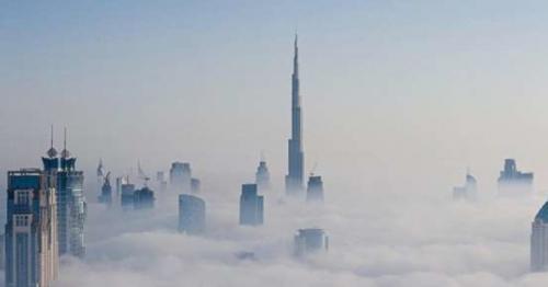 Speed limits reduced on UAE roads amid foggy conditions