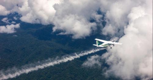 Cloud seeding in UAE improves weather in region, too: Expert