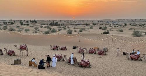 Dubai desert safari named Best Bucket List activity in the world at 2023 Tripadvisor Awards Dubai desert safari named Best Bucket List activity in the world at 2023 Tripadvisor Awards