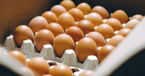  UAE Issues 125 fines for Breaking Egg and Chicken Price Rules