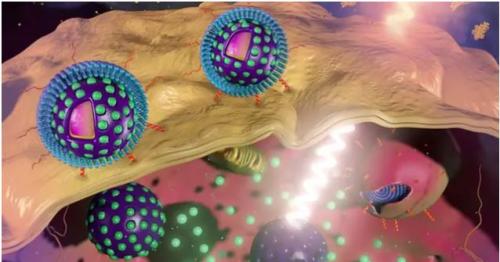 NYU Abu Dhabi Scientists Create Innovative Nanospheres for Targeting Tumors