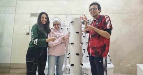 UAE university to harvest fresh vegetables as on-campus hydroponic farm is announced