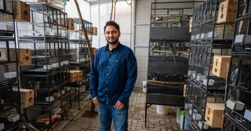 UAE man's aviary houses over 150 birds worth Dh200,000