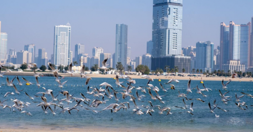 UAE: Does winter this year feel warmer, less rainy? Here's why